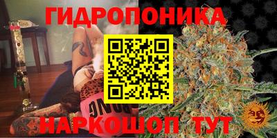 MDMA Premium VHQ Гай
