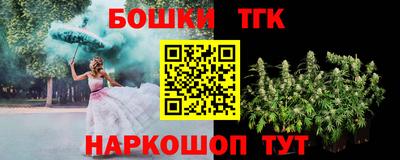 СК Гагарин