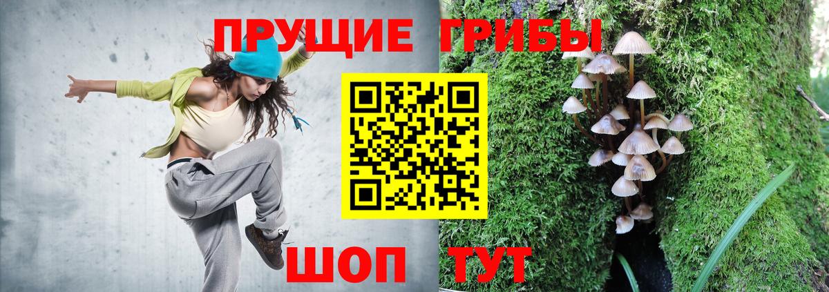 Псилоцибиновые грибы прущие грибы Сургут