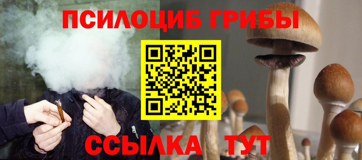 даркнет сайт  Галлюциногенные грибы мицелий  Вход с VPN  Сургут 