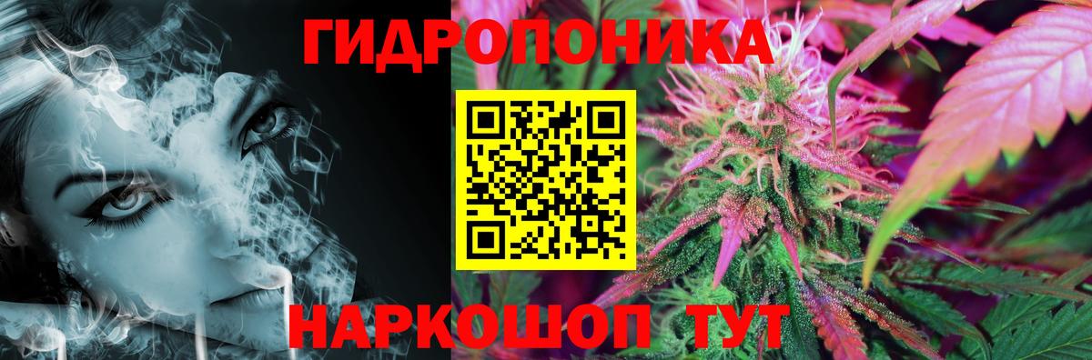 Канабис сатива Сургут